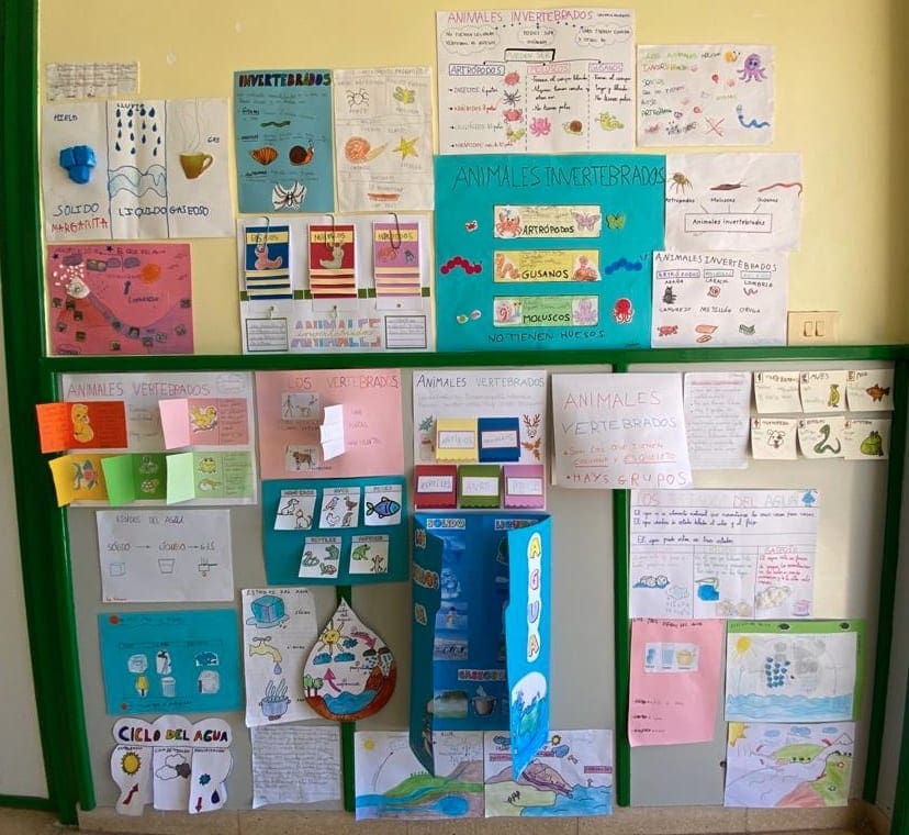 proyector educatrivos colegio cruz de piedra primer tramo 2021 1