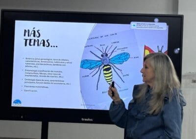 formacion altas capacidades intelectuales centro cadis colegio cruz de piedra cooperativa de ensenanza jumilla 4